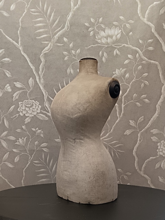 Taylor's Dressmaker's Mannequin Bust (2).jpg