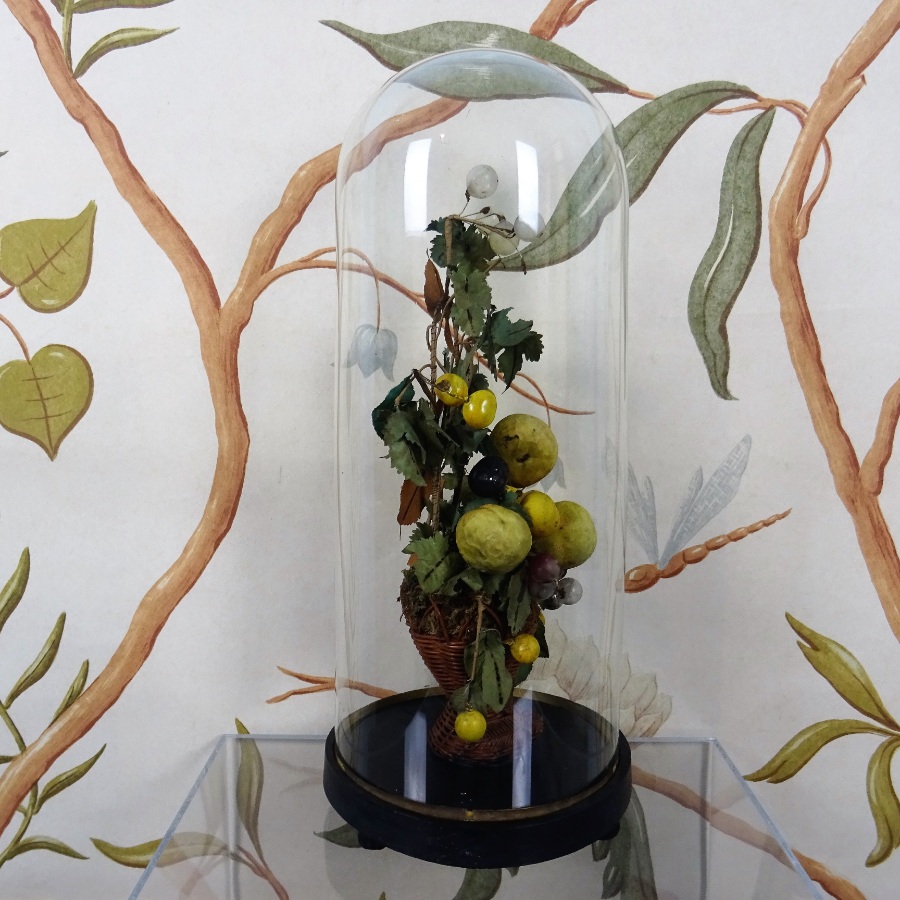 Victorian Still Life of Fruits under a glass Dome (15).JPG